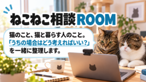 ねこねこ相談ROOM